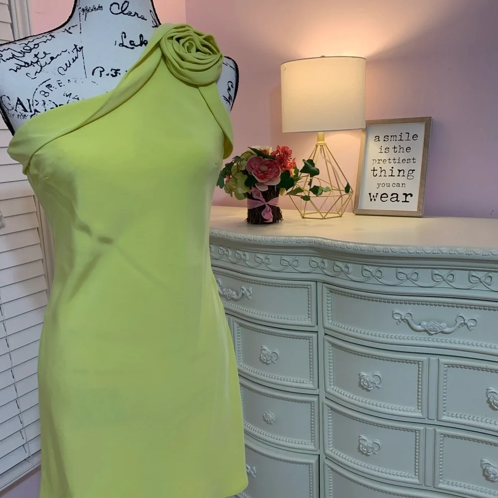 ABS One Shoulder Rosette Mini Dress. Size 2 - Picture 7 of 16